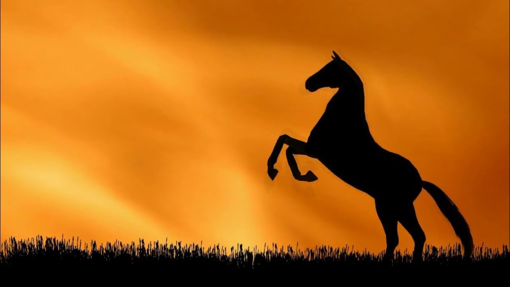 Лошадь на горизонте