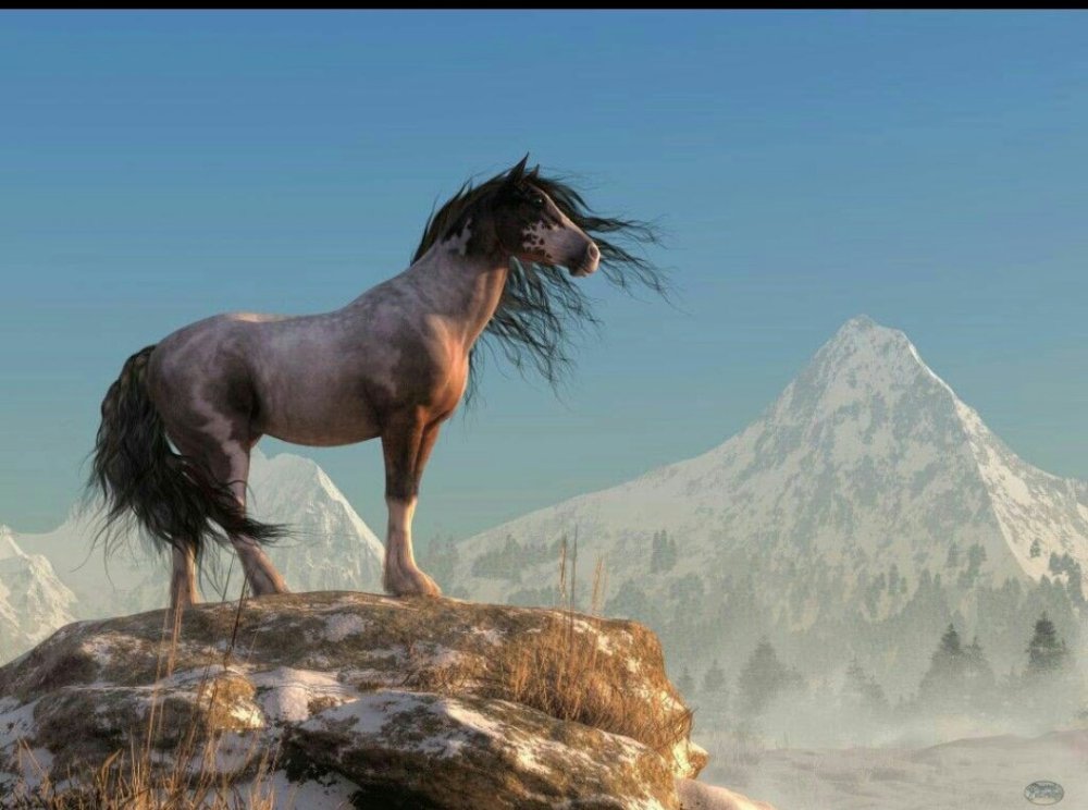 Табун диких лошадей