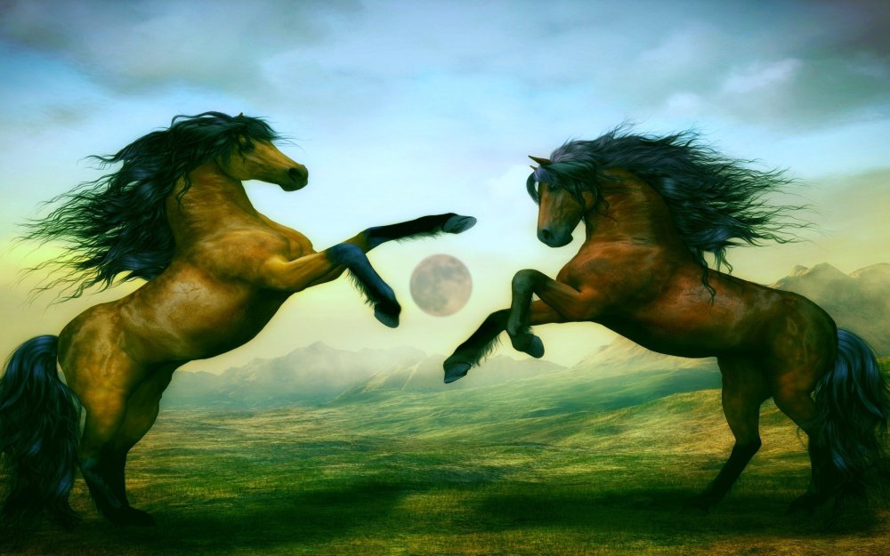 Черный конь в пустыне