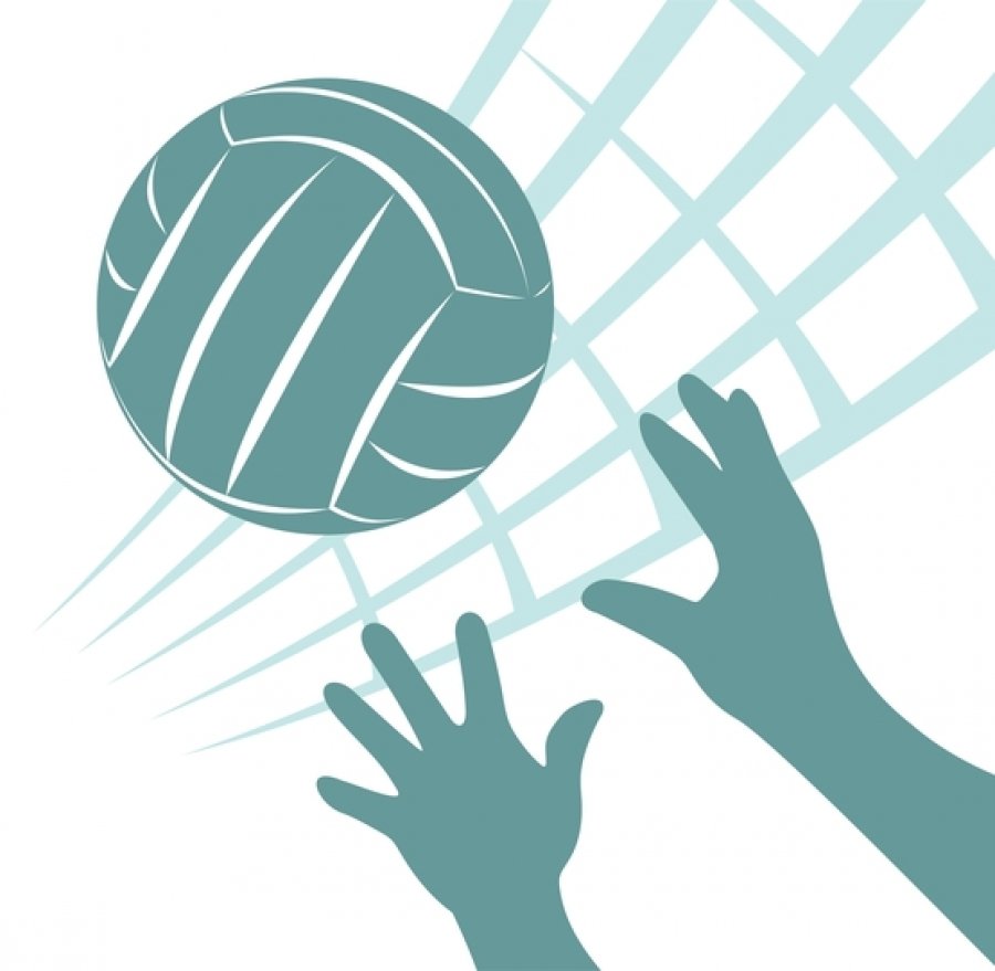 Волейбольный мяч с сеткой вектор