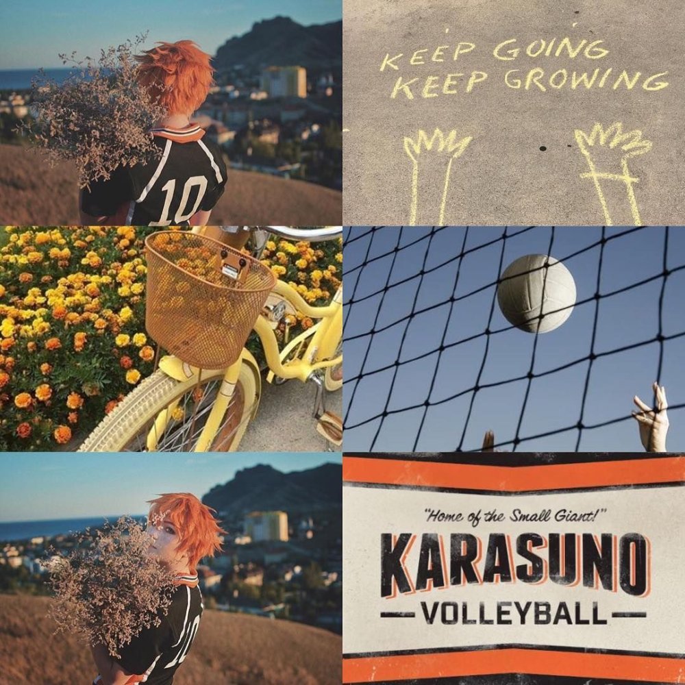 Эстетика спорта коллаж волейбол