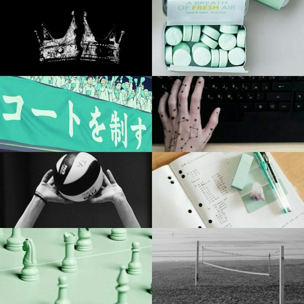 Эстетика волейбола коллаж