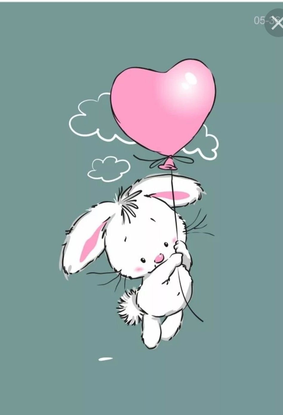 Любимому зайке