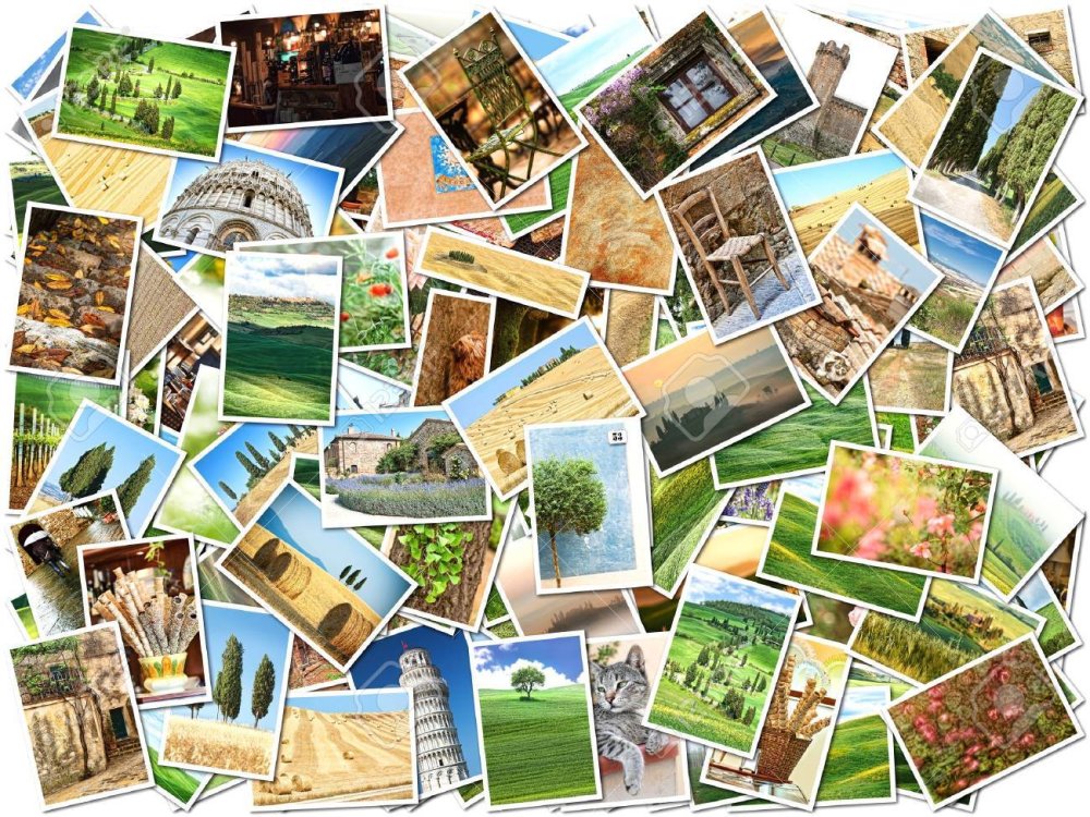 Много фотографий на одном листе