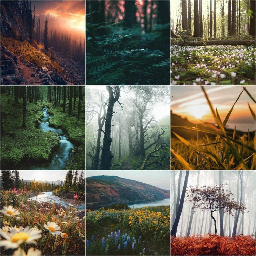 Эстетика природы