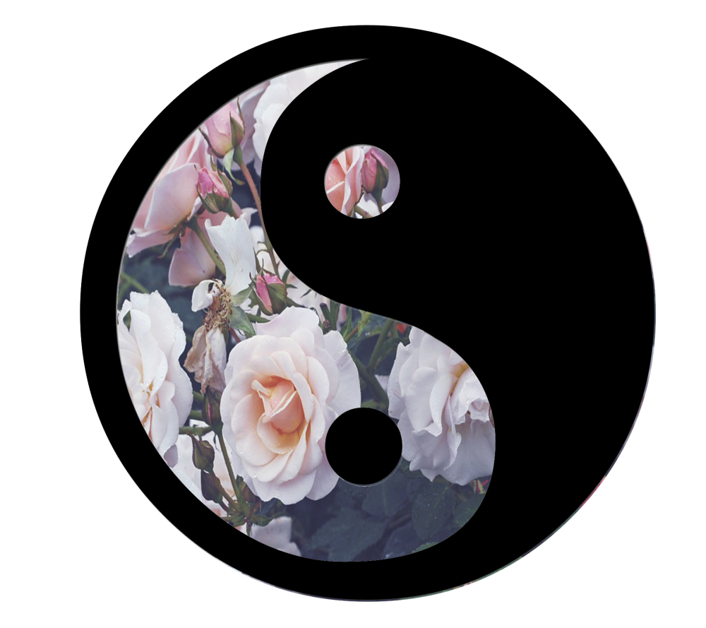 Инь Янь аниме