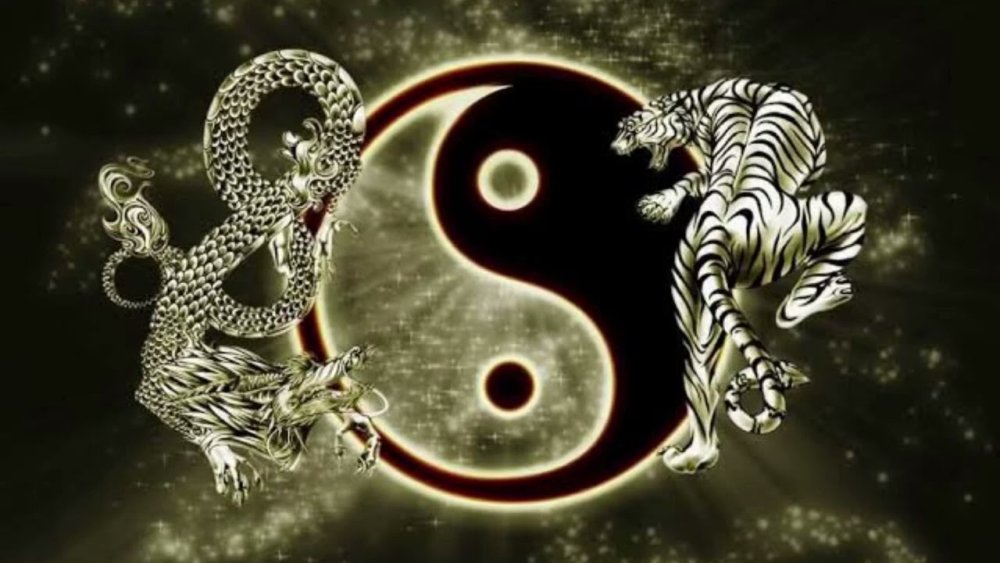 Дракон Инь Янь