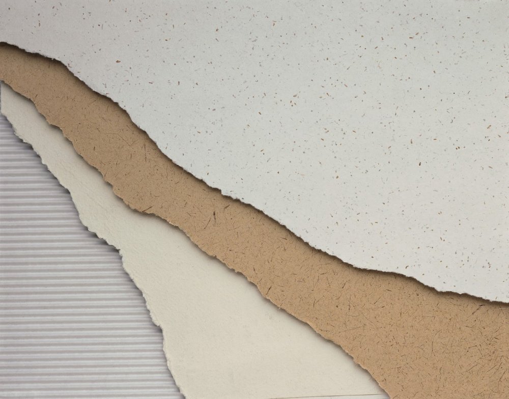 Рваный край бумаги