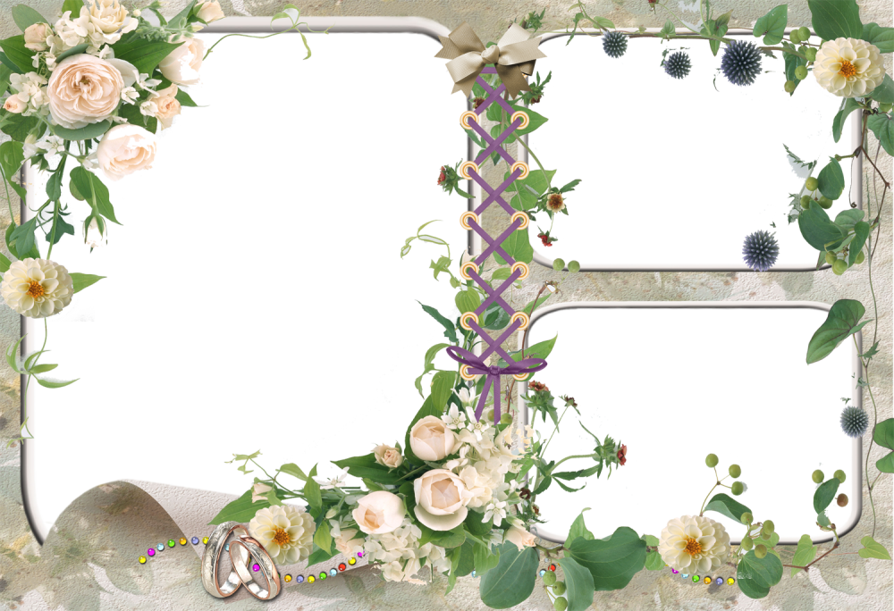 Рамки для коллажа прозрачные