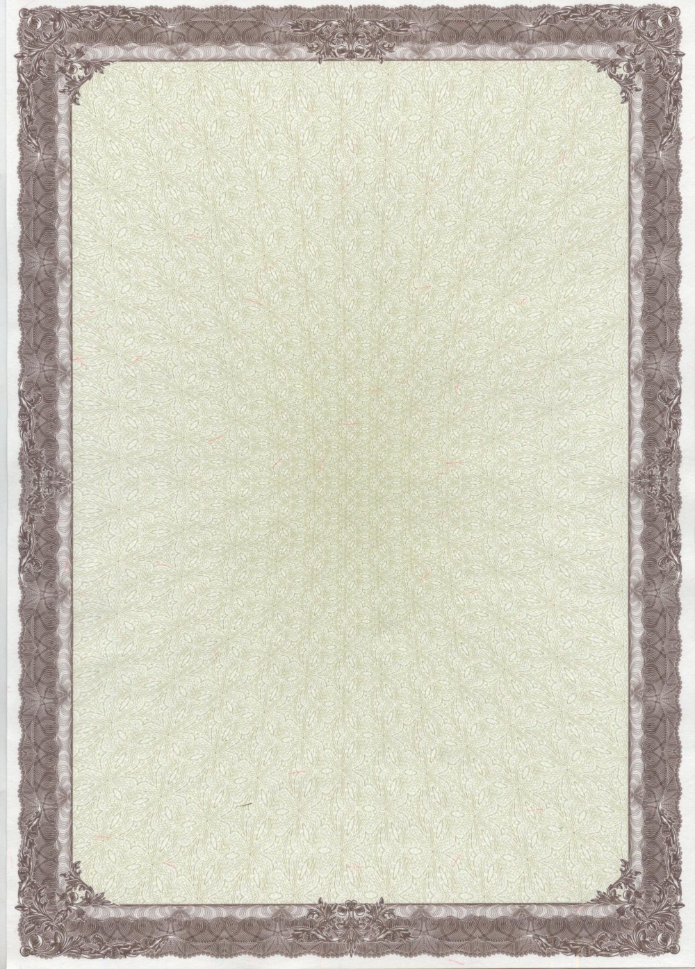 Рамка для лицензии