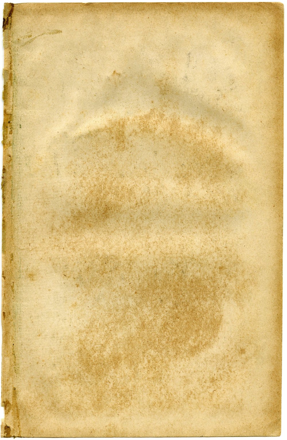 Сертификат рисунок