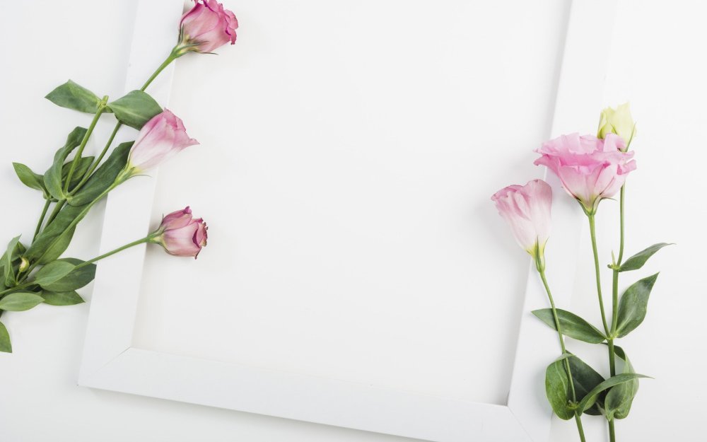 Белый фон с цветами