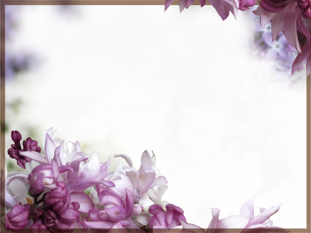 Рамка сиреневые цветы