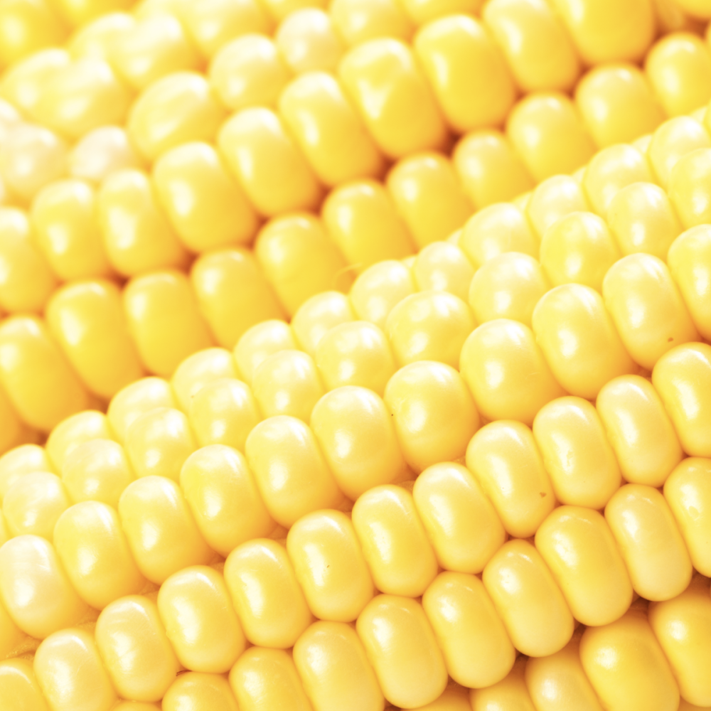 Вареная кукуруза фон