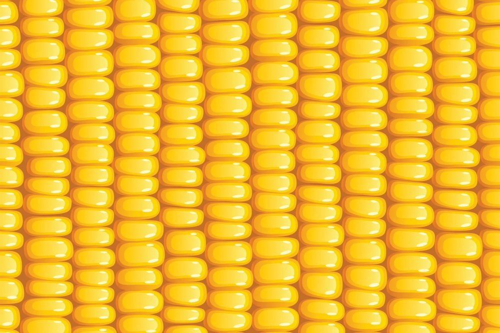 Кукуруза фактура