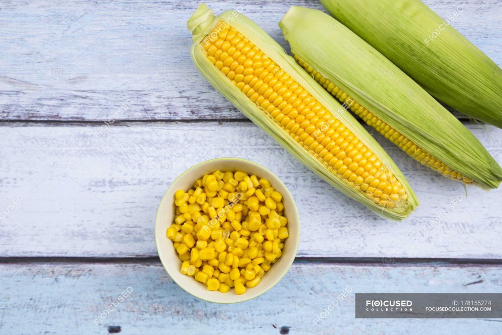 Кукуруза вид сверху