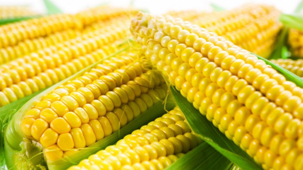 Вареная кукуруза