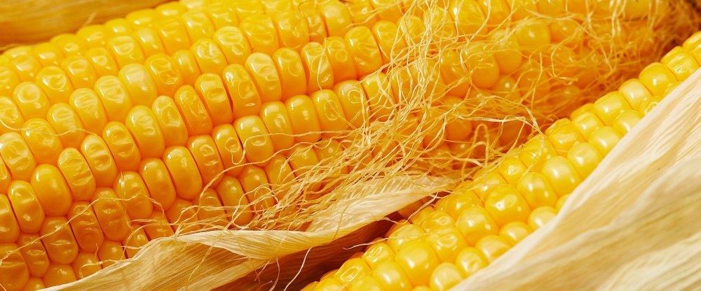 Кукуруза патока