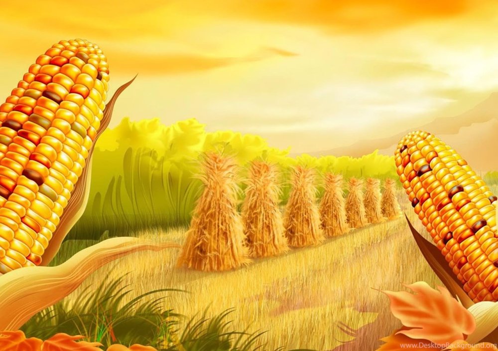 Горячая кукуруза реклама