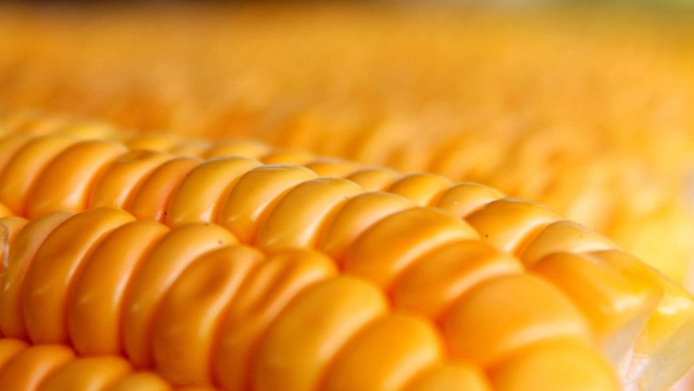 Фон для сладкого кукуруза