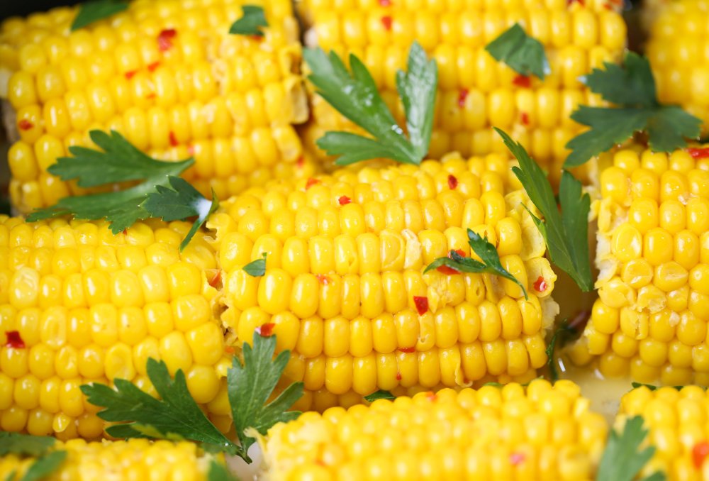 Кукуруза баннер