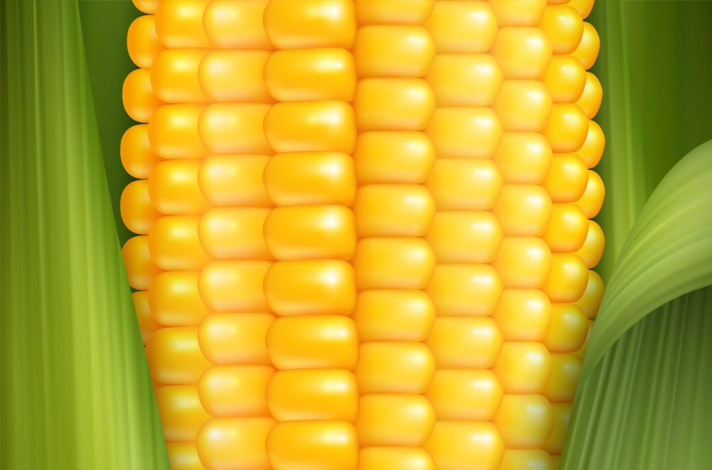 Кукурузный фон