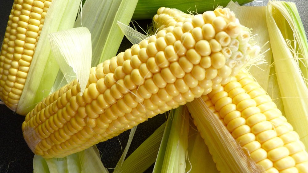 Кукуруза початок