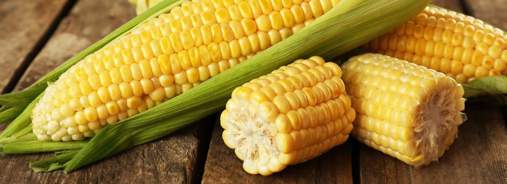 Кукуруза Беллмарк