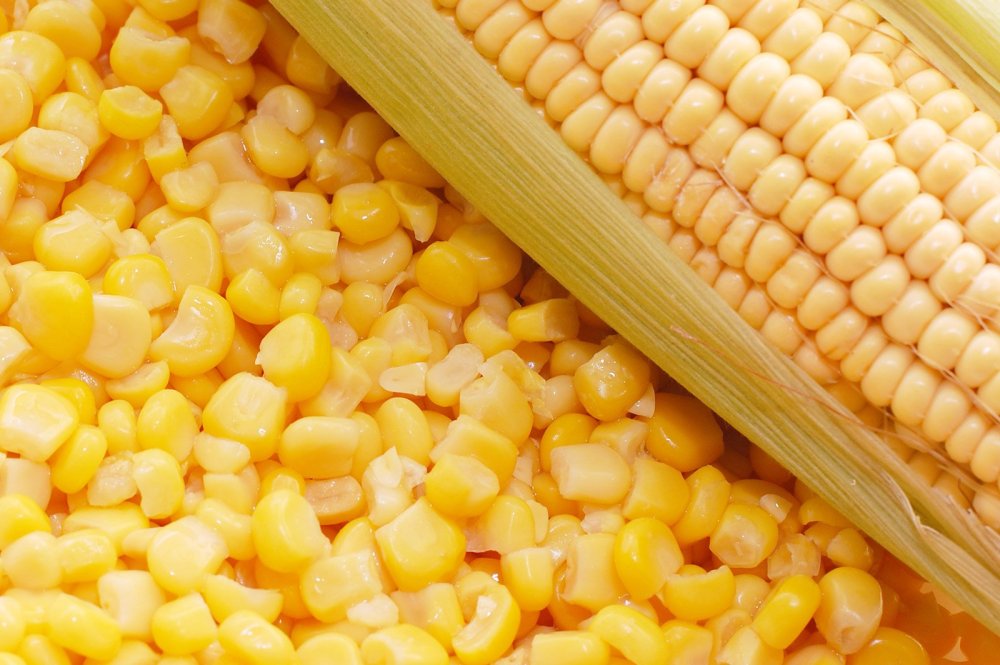Кукуруза фон