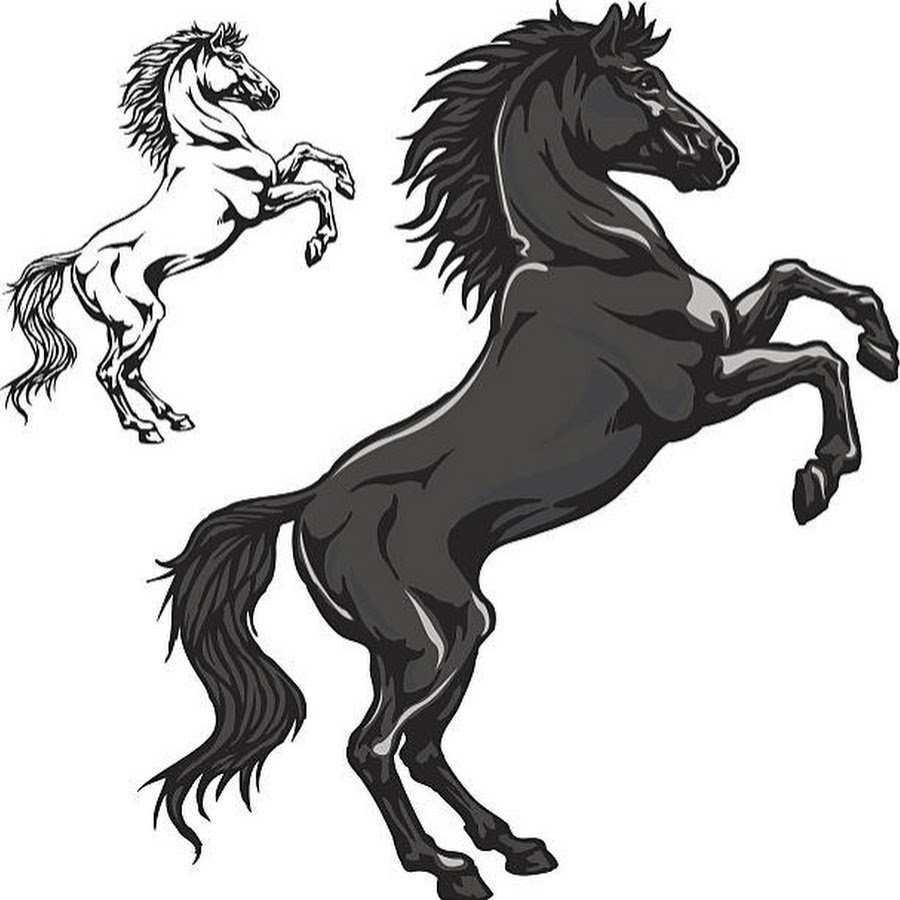 Красивые лошади на дыбах