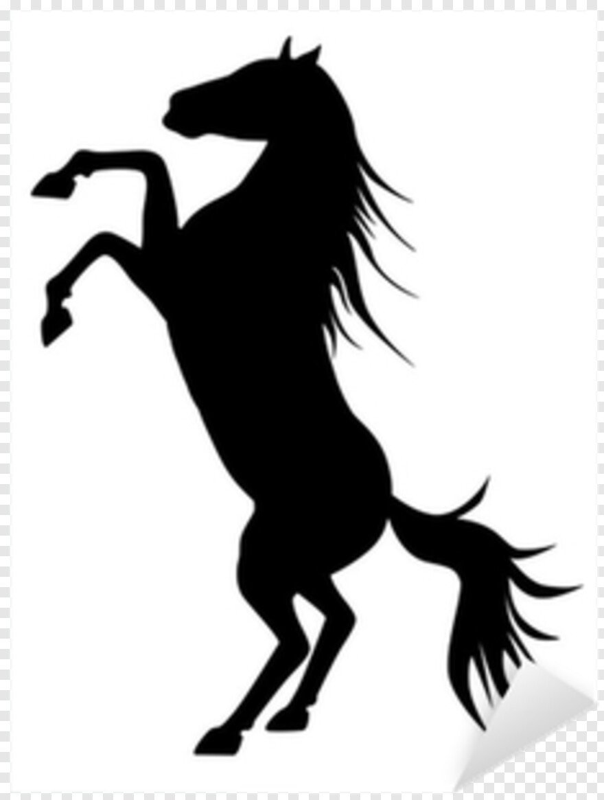 Красивые лошади на дыбах