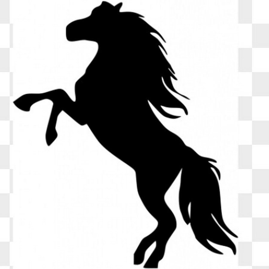 Лошадь на дыбах с наездником