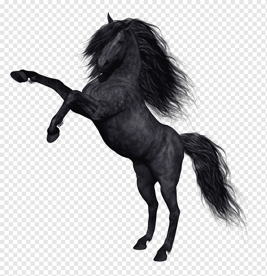 Конь поднялся на дыбы