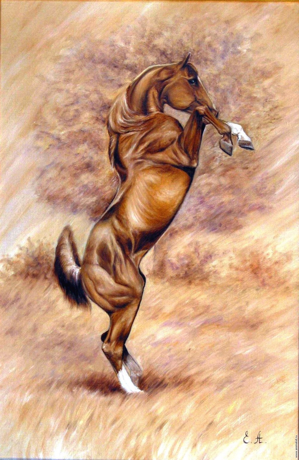 Крутые лошади