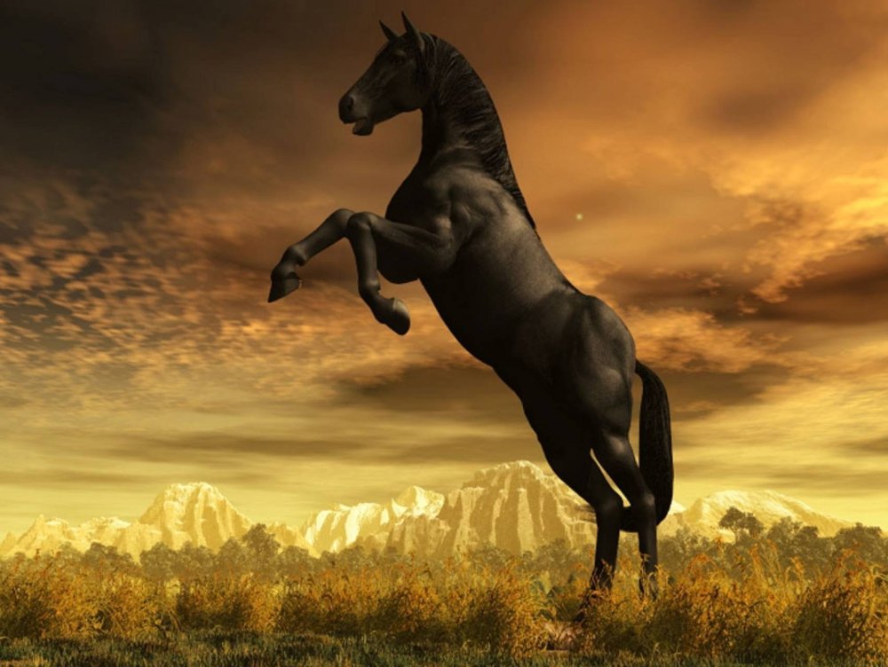 Картинки на рабочий стол лошади