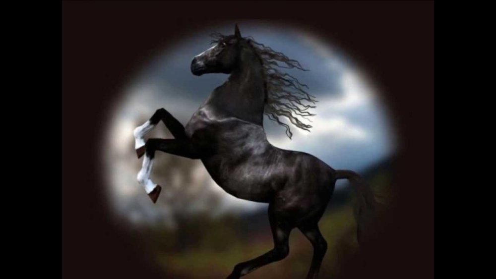 Лошадь на дыбах рисунок