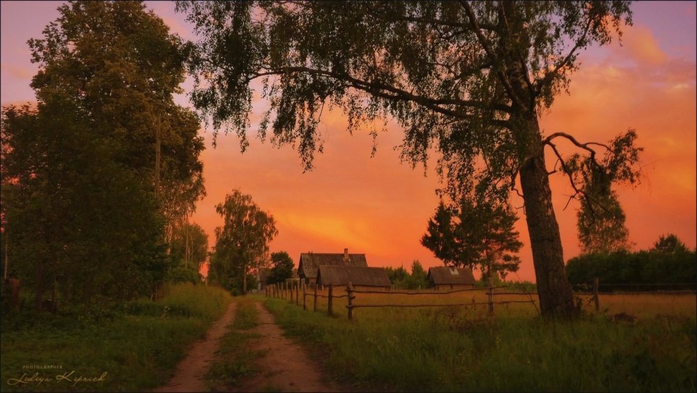 Деревня летом