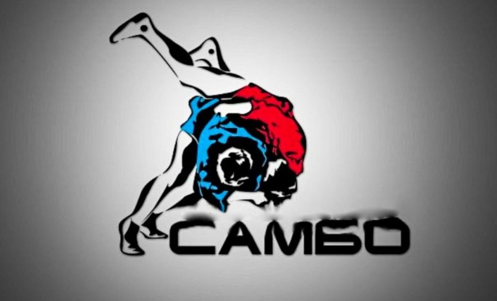 Боевое самбо логотип