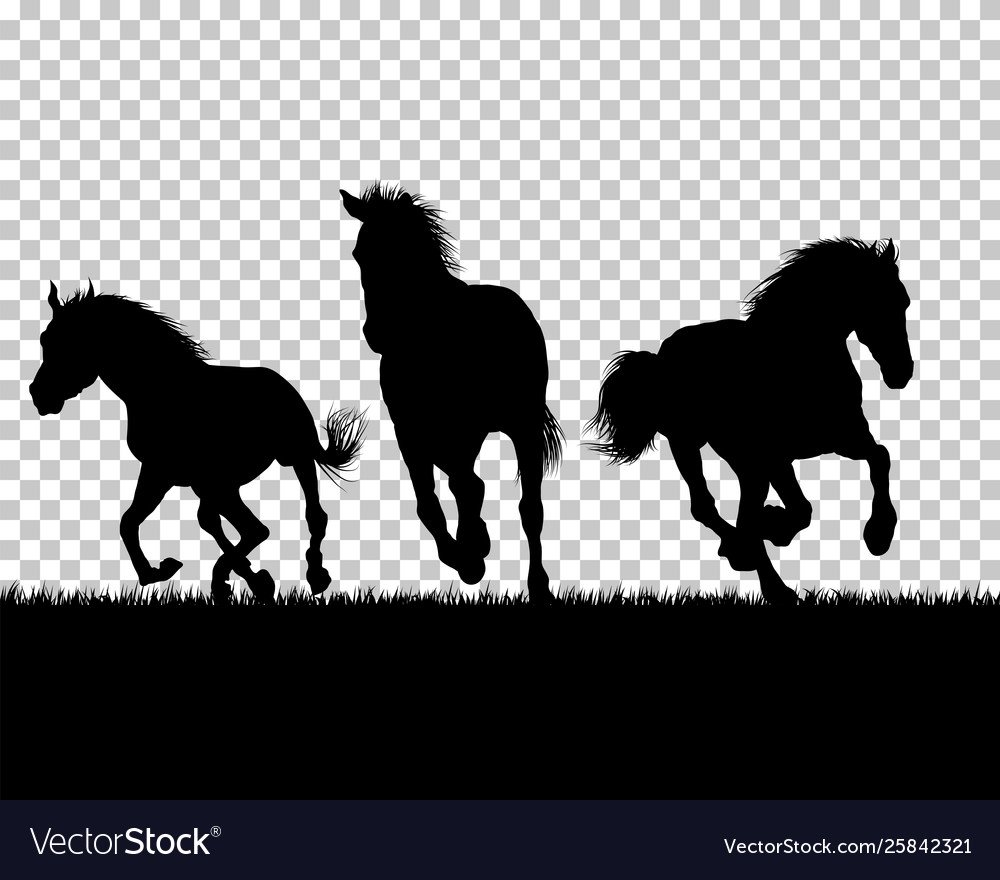 Текстура обои с лошадьми