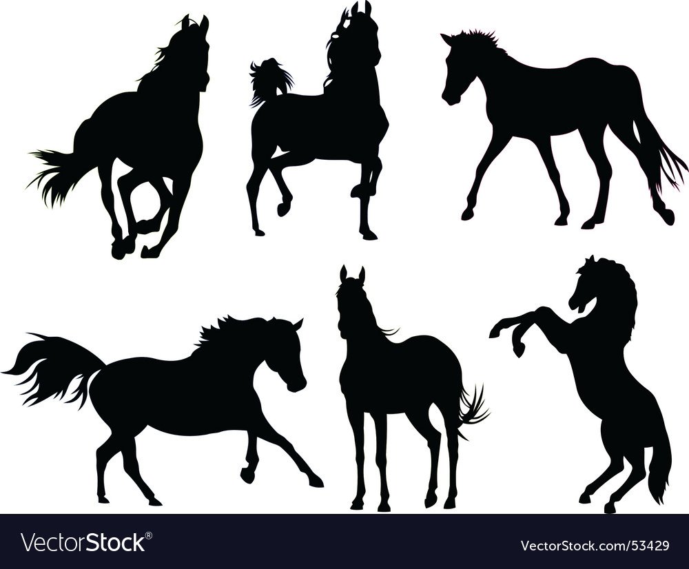 Силуэт коня на закате