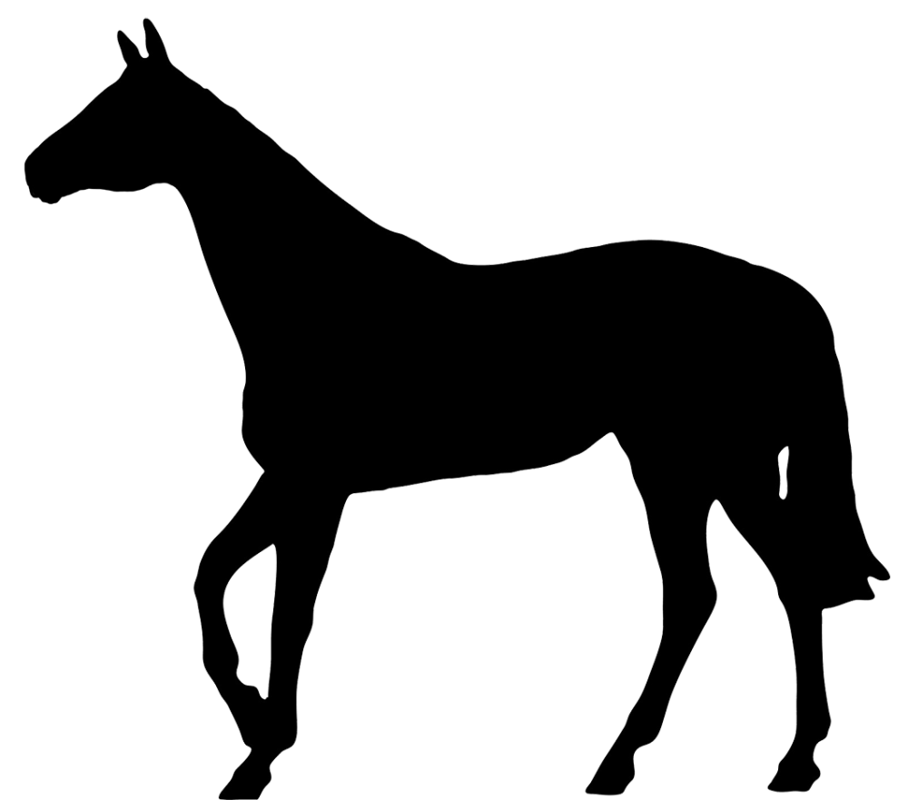 Лошадь на бумаге