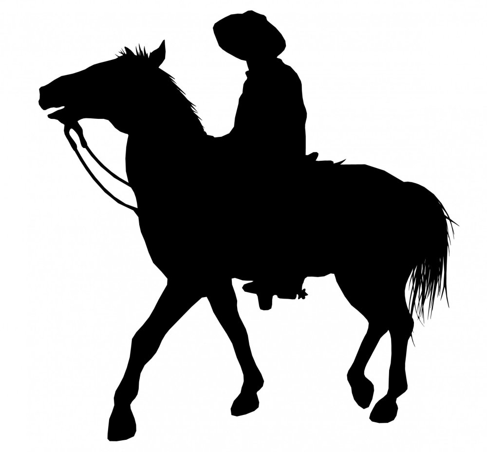 Силуэт лошади на белом фоне