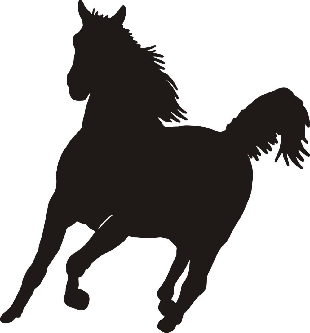 Силуэт лошади