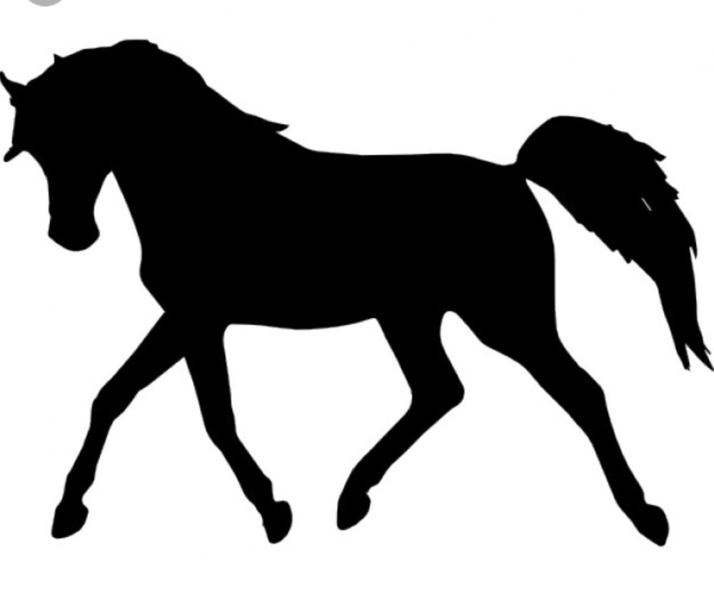 Лошадь на дыбах трафарет