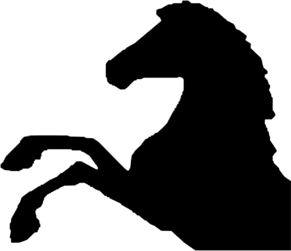 Конь на фоне заката