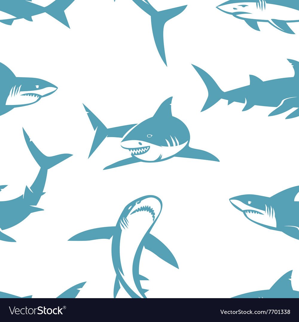 Акула сверху вектор