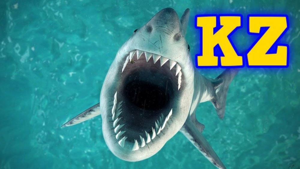 Паттерн Шарк