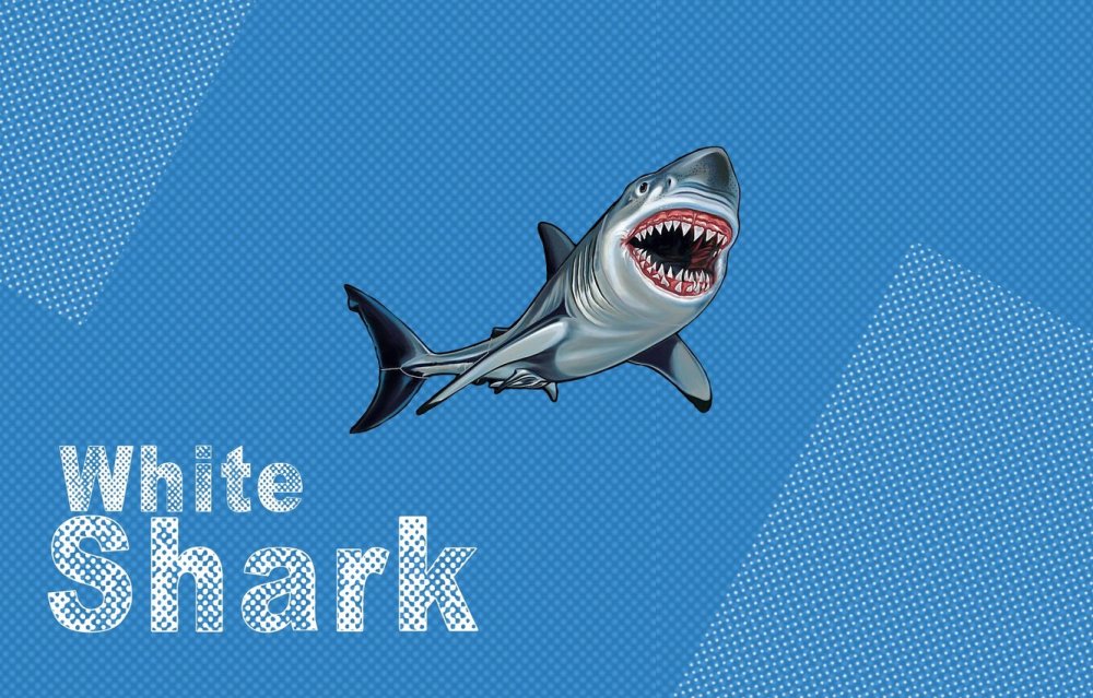 Силуэт акулы сверху