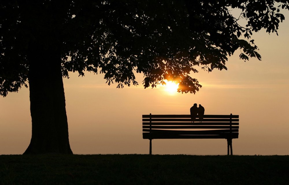 Одинокая лавочка в парке