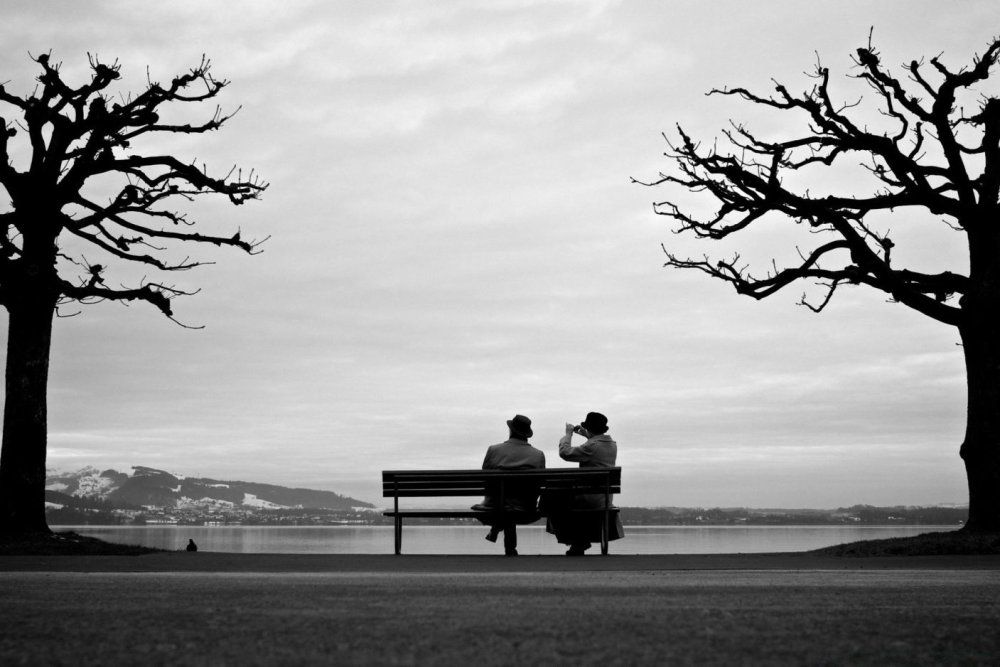 Два одиноких дерева